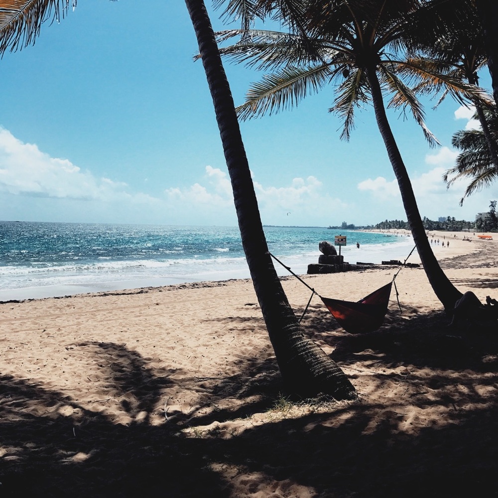 Meet your Posher, Anya